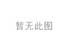 离合器片 Clutch Disc:8112105